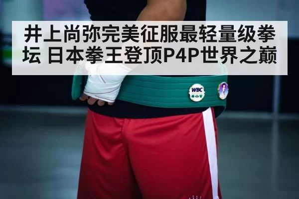 boxing championship belt